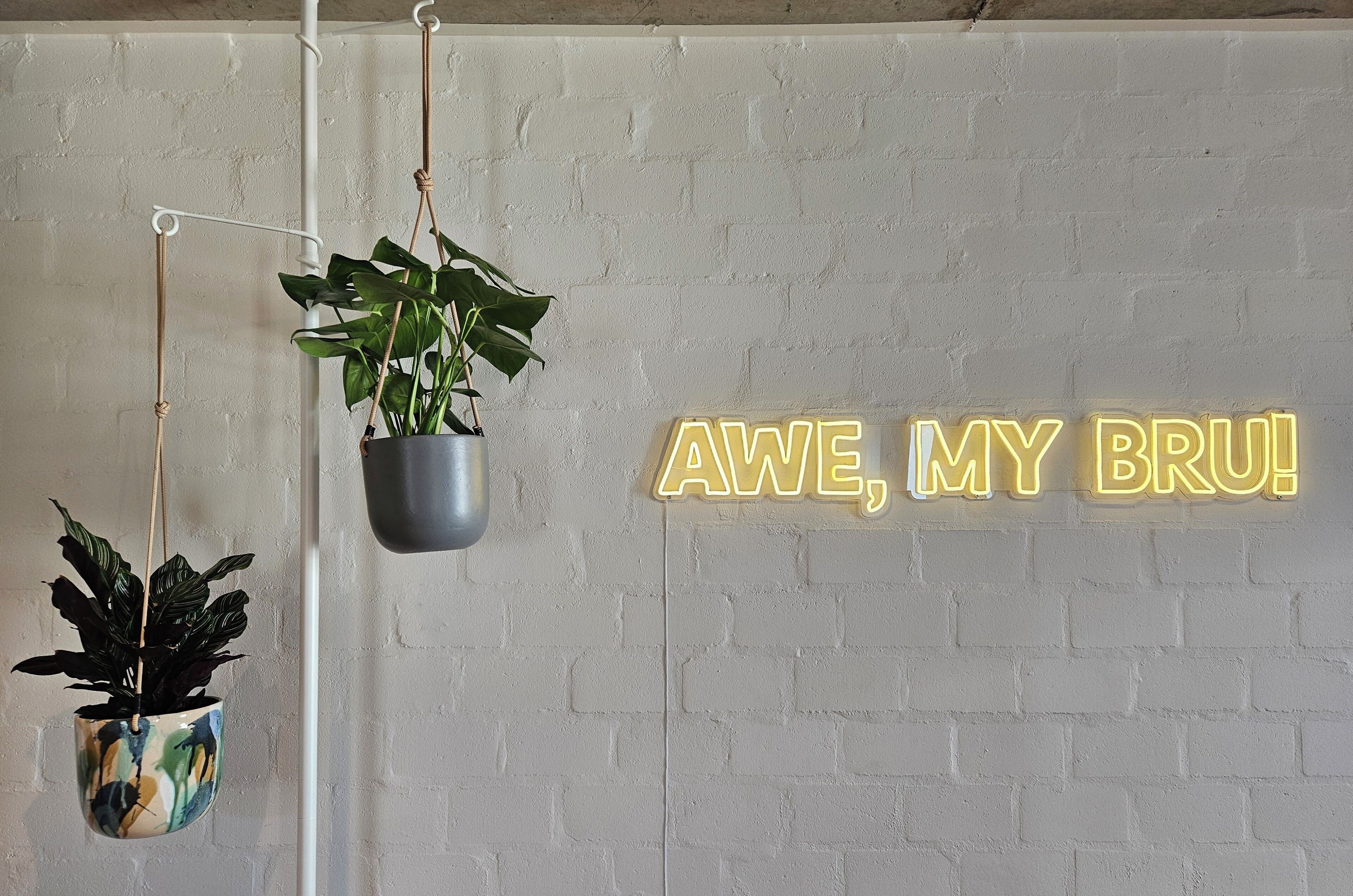 Two hanging plants and a neon sign on a brick wall.
