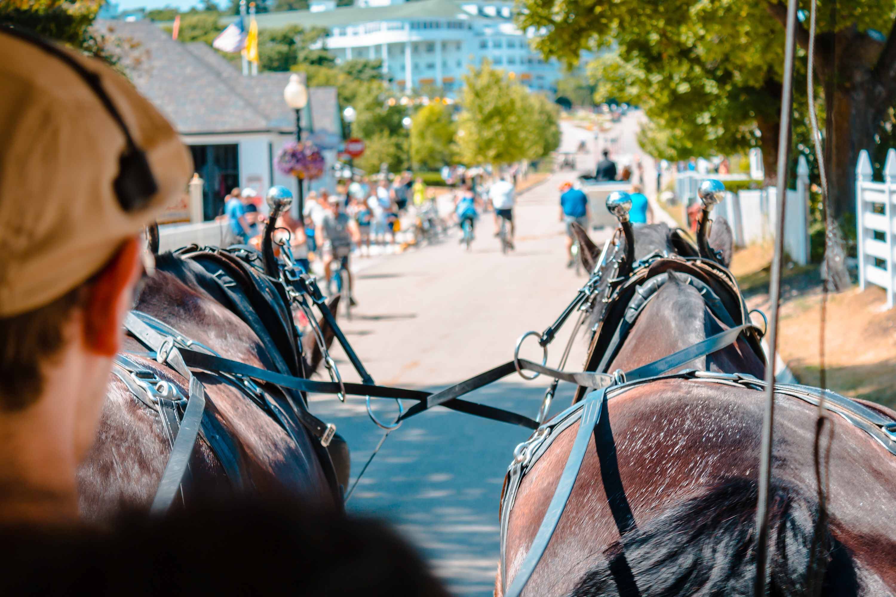 A horse-drawn carriage with a person in a hat, a crowd of people, and buildings in the background.