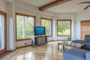 TV, video games, books, offices