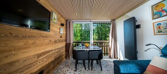 Beautifully renovated studio apartment, sleeps 4, mountain view