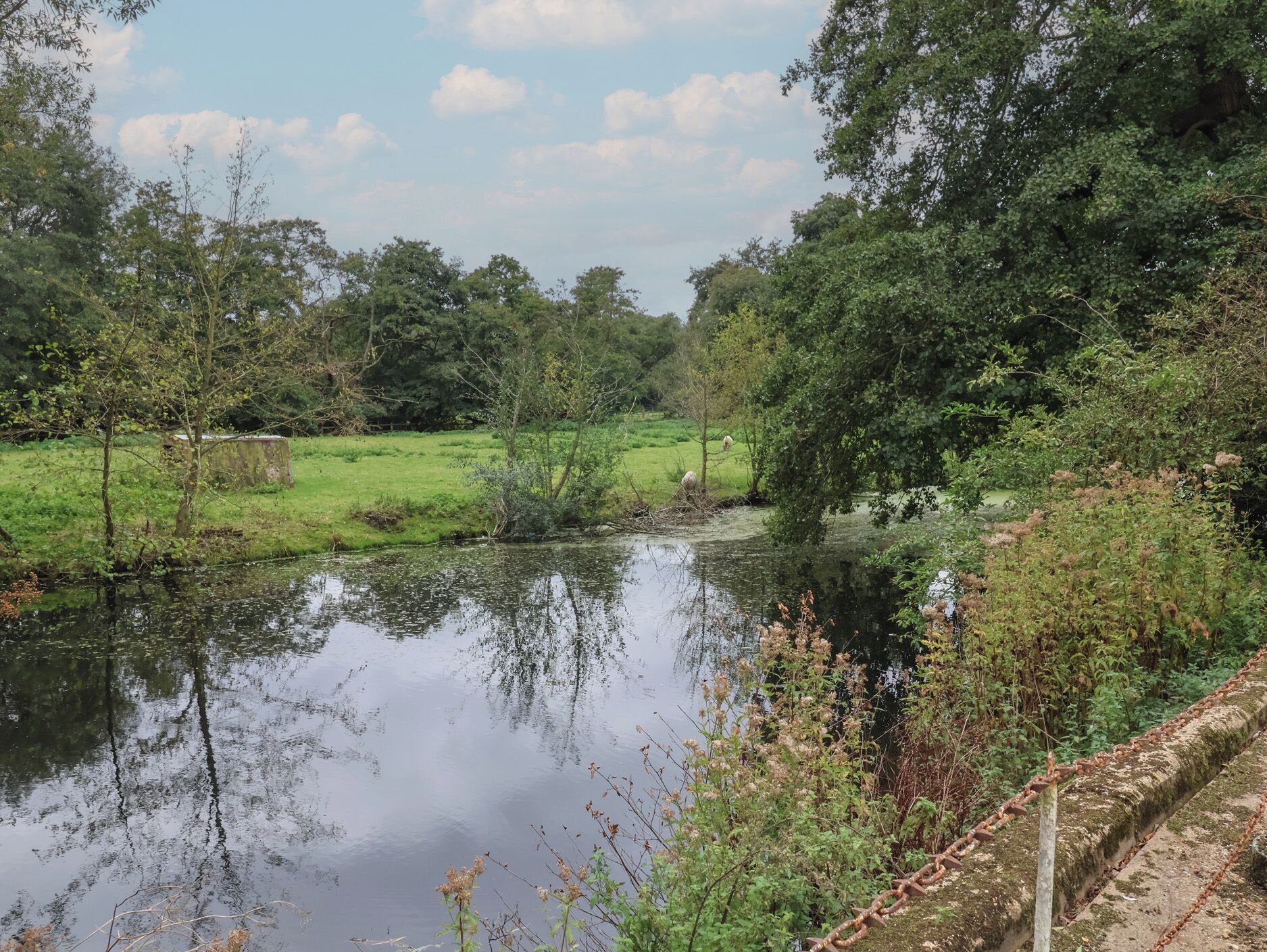 A serene riverside scene with a calm water body, lush greenery, and a rustic stone wall.