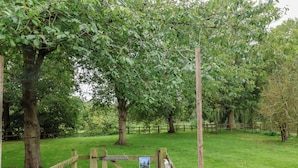 Une porte en bois qui donne sur une zone herbeuse, avec des arbres et une clôture.