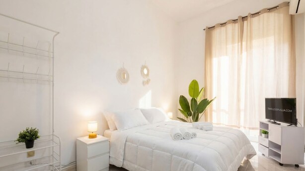 A hotel room with a bed, bedside table, TV, and a plant.