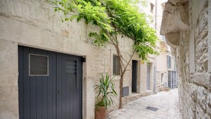A narrow stone-paved alleyway with a dark door, a potted plant, and a tree with green leaves.