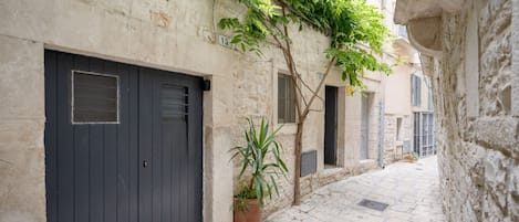 Un estrecho callejón adoquinado de piedra con una puerta oscura, una planta en maceta y un árbol con hojas verdes.