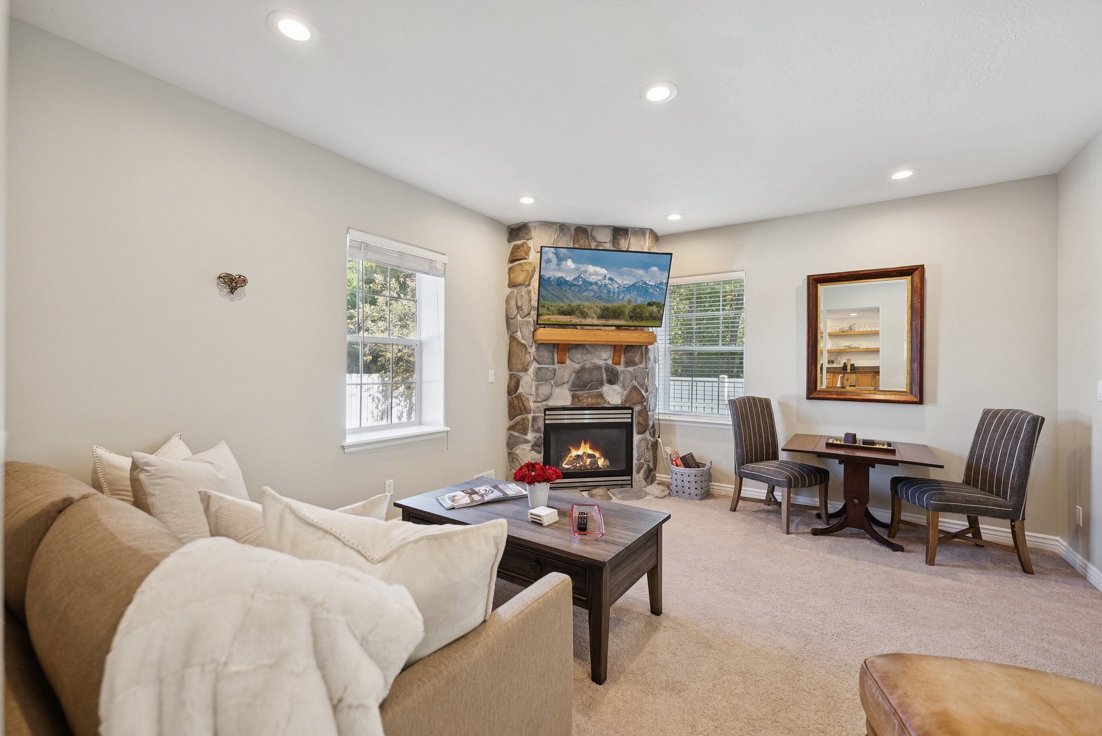 Smart TV, fireplace, books
