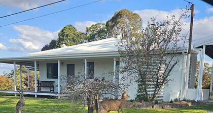 Family Farmside Retreat! Wine, Roos + Pet friendly