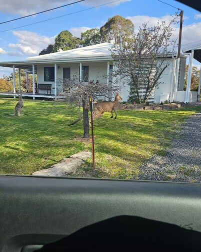 Family Farmside Retreat! Wine, Roos + Pet friendly