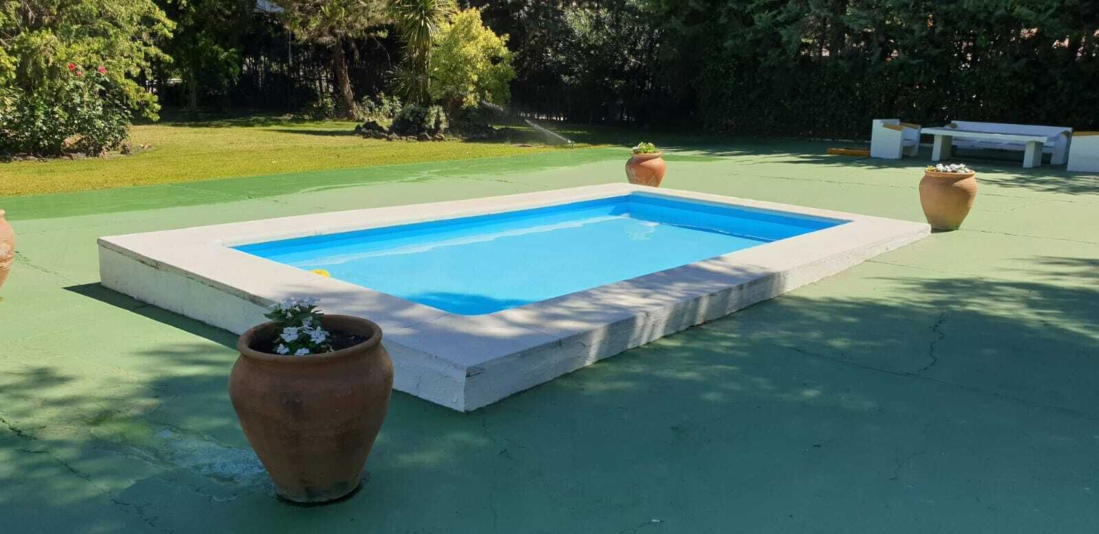 Ein rechteckiger Swimmingpool mit blauer Innenauskleidung, umgeben von einer Betonplattform. Auf jeder Seite des Pools stehen je ein Terrakottatopf mit Pflanzen.
