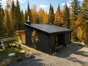 En modern stuga med en mörk fasad, en skorsten och en liten veranda.