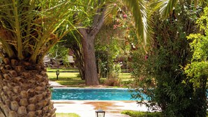 A pool area with a palm tree, a pathway, and a lamp post. - Magnificent Villa-Riad with private garden, large Jacuzzi in a private estate (Marrakech)