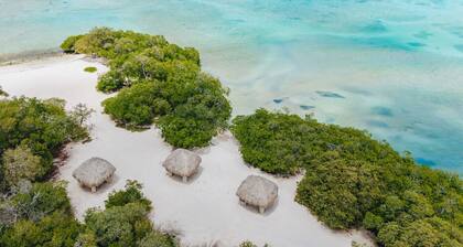 NEW 6 Bed 6 Bath Pool - Bocobay Mangel Beach House