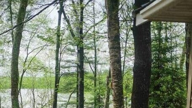 A wooden deck with a table and chairs, overlooking a forested area and a body of water.