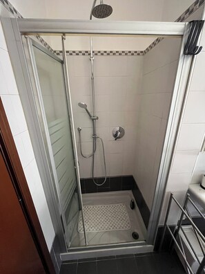 Shower, hair dryer, bidet, towels