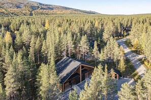 Une cabane entourée d’une forêt dense, avec un chemin dégagé qui y mène.