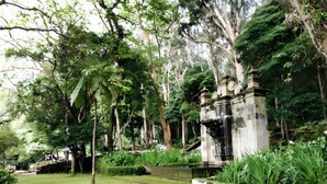 Un exuberante jardín con una fuente de piedra, árboles frondosos y un pequeño estanque.