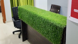A reception desk with a green artificial grass cover, a black office chair, and a green curtain. - THE ROYAL STAY IN (Hyderabad)