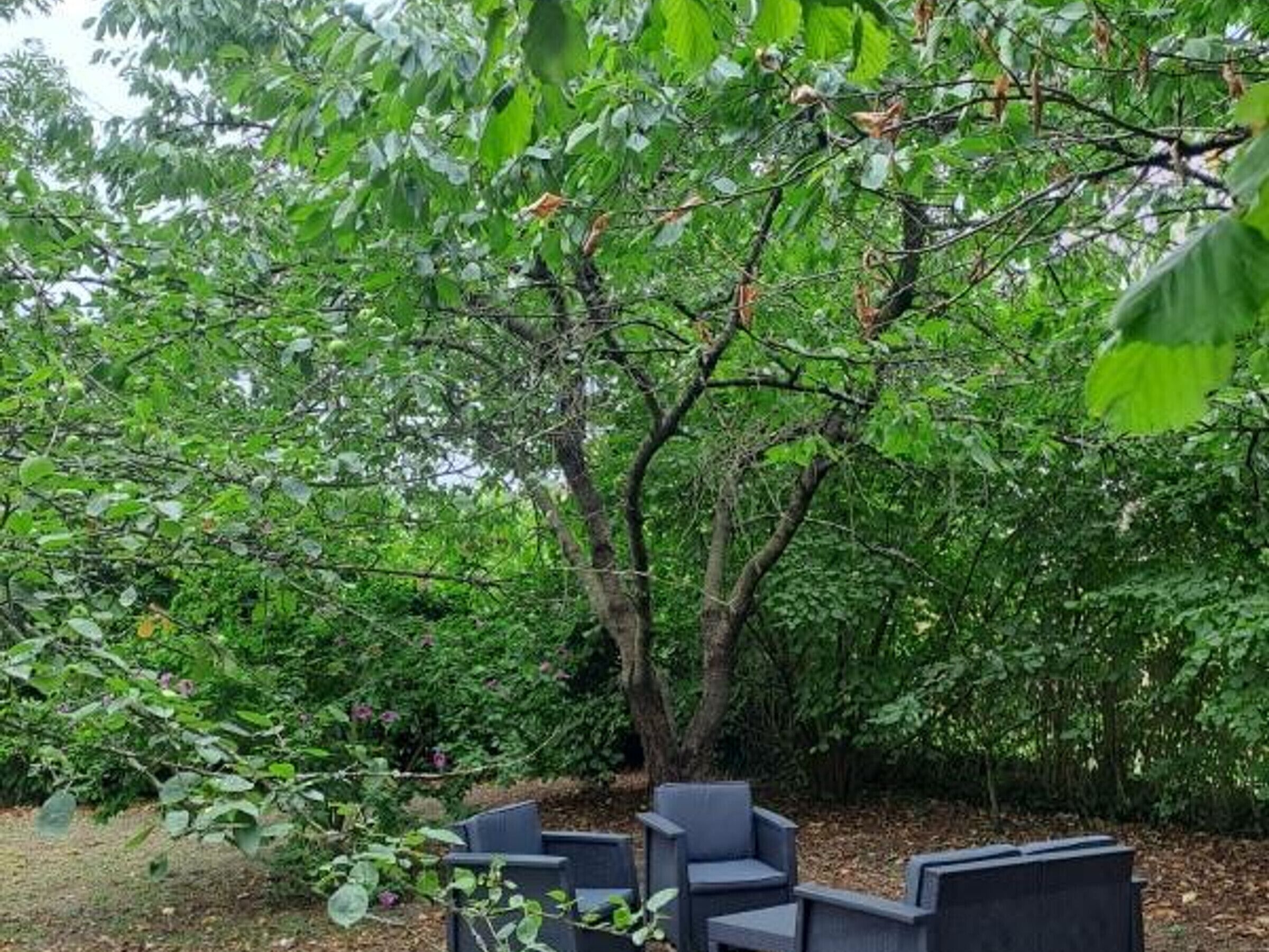 Ein Sitzbereich im Freien mit modernen Stühlen und einem Baum im Hintergrund.