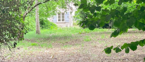 Overnatningsstedets område