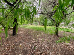 Property grounds - Cozy cottage with enclosed garden in Pocé-sur-Cisse (Pocé-sur-Cisse)