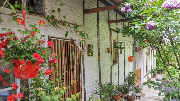 A covered outdoor area with potted plants, a wooden door, and a white brick wall.