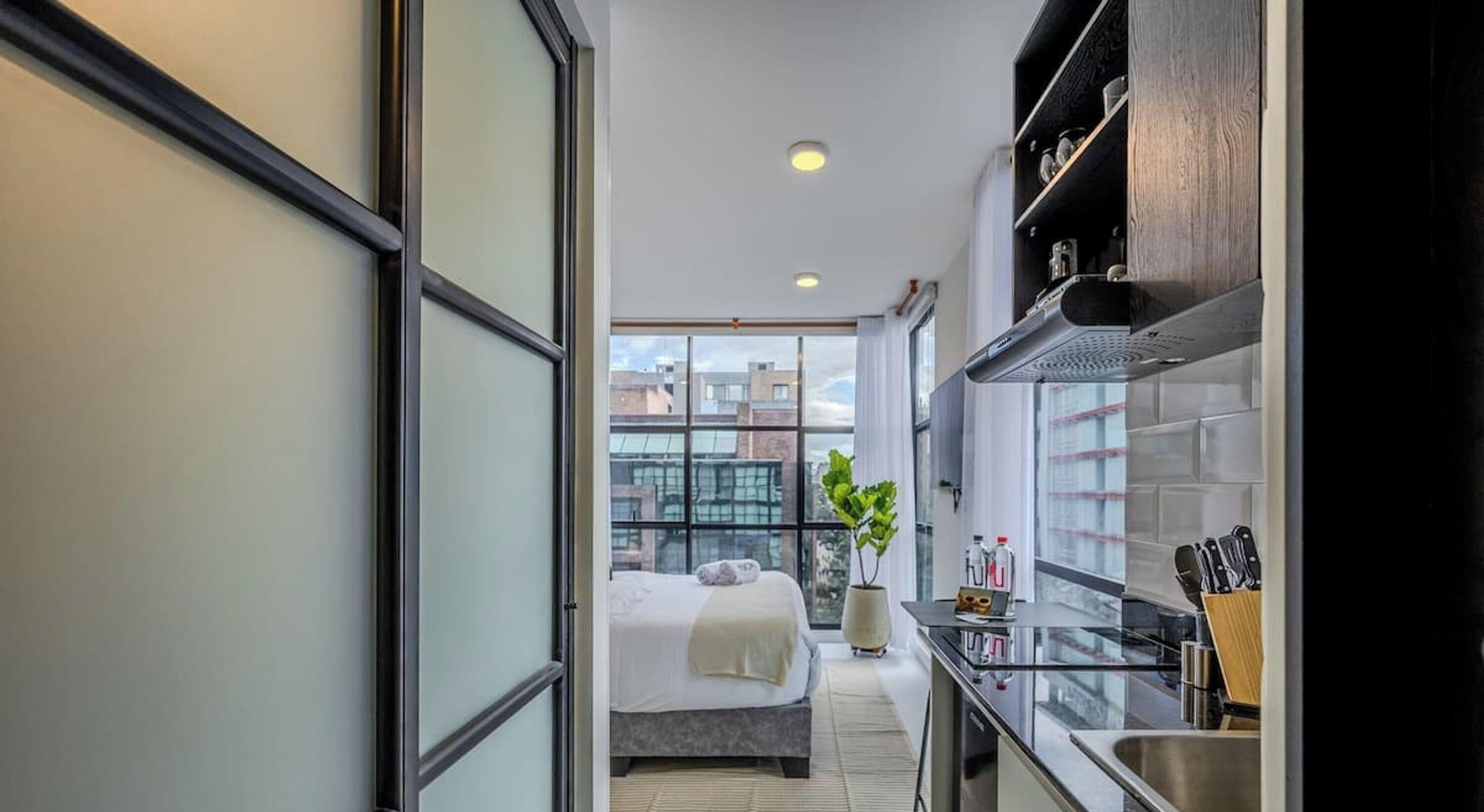 Un pasillo estrecho que conduce a un dormitorio con cama, planta en maceta y una zona de cocina con lavaplatos y utensilios.