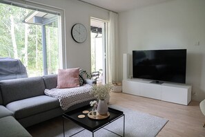 TV