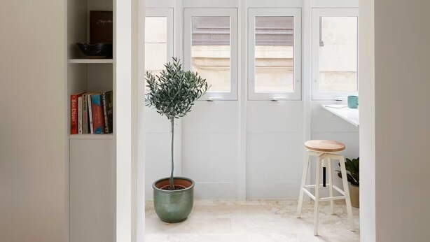 A room with a white door, a potted plant, and a bookshelf.