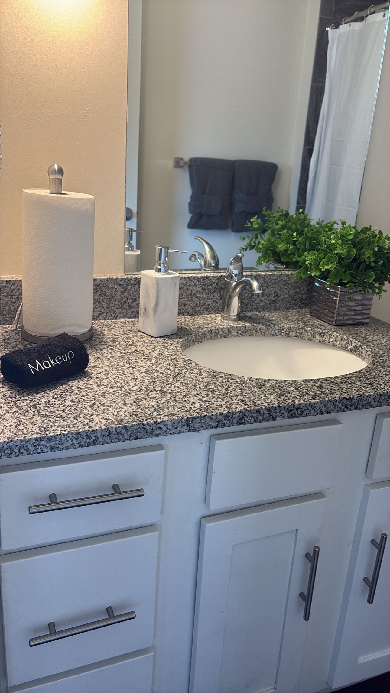 Regadera, secadora de cabello, toallas, jabón 