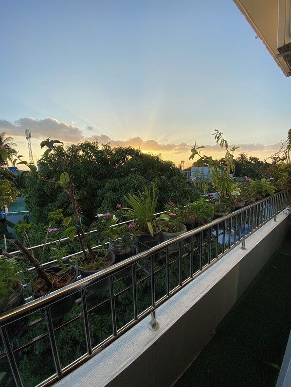 Jardines del alojamiento