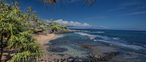 بالقرب من الشاطئ