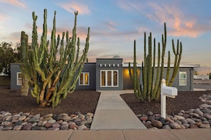 Une maison moderne avec un chemin en béton menant à l’entrée, entourée de grands cactus et d’un jardin de rochers.