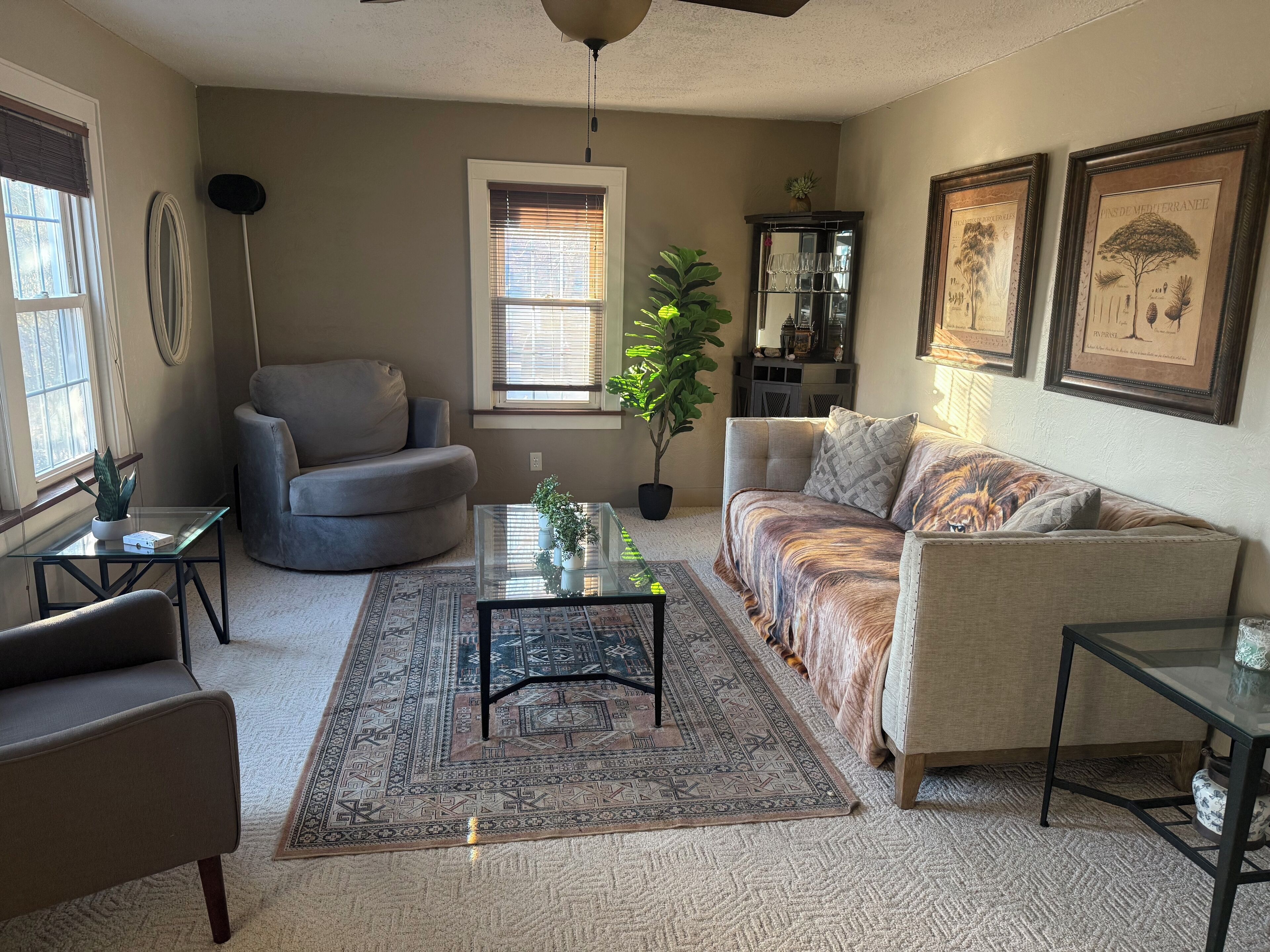 Télévision, cheminée