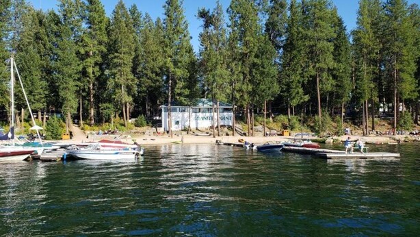 A marina with boats docked, surrounded by tall pine trees.