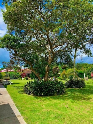 Jardines del alojamiento