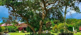 Hotel CSI Llanogrande