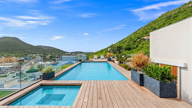 Une piscine sur le toit, dotée d’une terrasse en bois, entourée de plantes en pot et offrant une vue sur le paysage urbain, avec des montagnes visibles au loin.