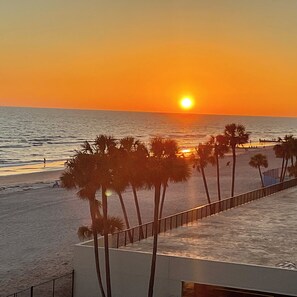 A beach with palm trees and a sunset. - February 1st to March 1st    Beautiful Gulf front Condo (Madeira Beach)