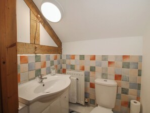 Shower - Malt House (Bishops Castle)