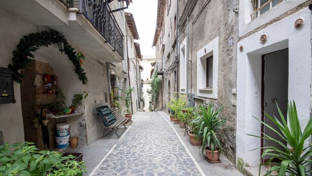 Un callejón estrecho con pavimento de piedra, plantas en macetas y un banco.