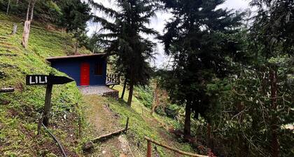 Terrific cabin in Floridablanca, Santander, Colombia!