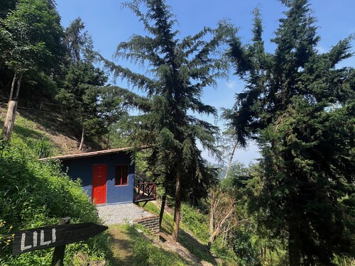 Terrific cabin in Floridablanca, Santander, Colombia!