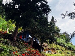 Exterior - Terrific cabin in Floridablanca, Santander, Colombia! (Floridablanca)