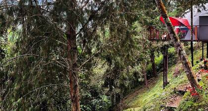 Terrific cabin in Floridablanca, Santander, Colombia!