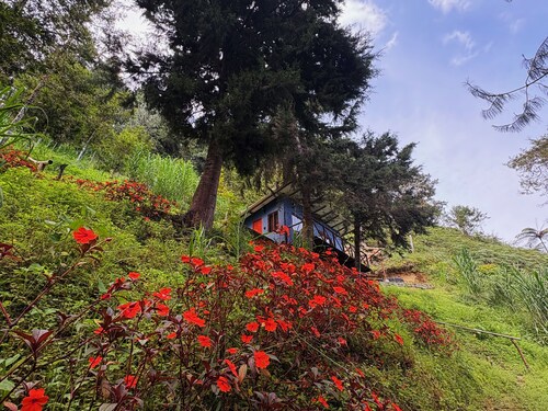 Terrific cabin in Floridablanca, Santander, Colombia!