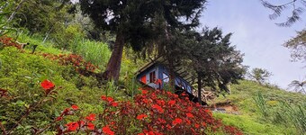 Terrific cabin in Floridablanca, Santander, Colombia!