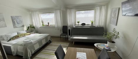 1 bedroom, iron/ironing board, WiFi, bed sheets