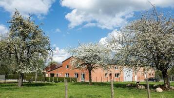 Departamento | Vista desde la propiedad