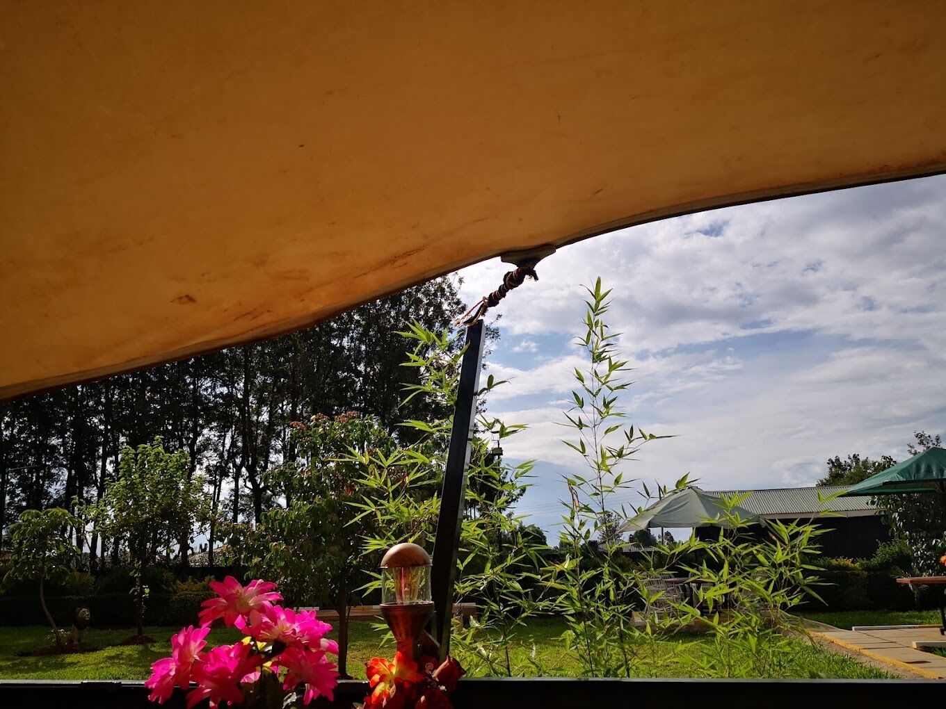 Un espacio al aire libre cubierto con vista a un jardín y un edificio al fondo.