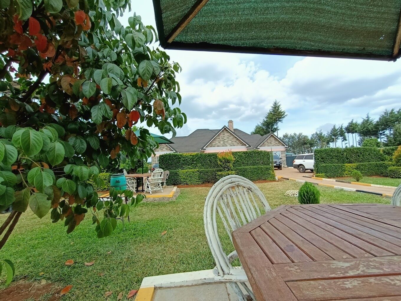 A patio area with a wooden table and chairs, surrounded by greenery and a view of a residential street.